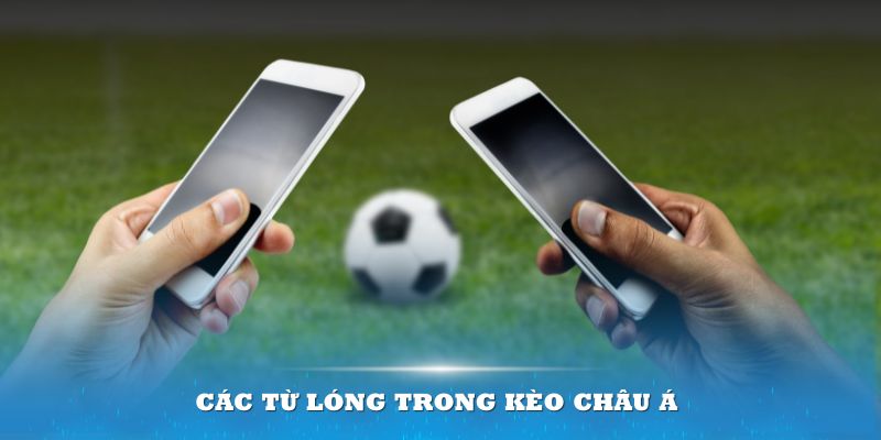 Các từ lóng trong kèo châu Á của dân cá độ