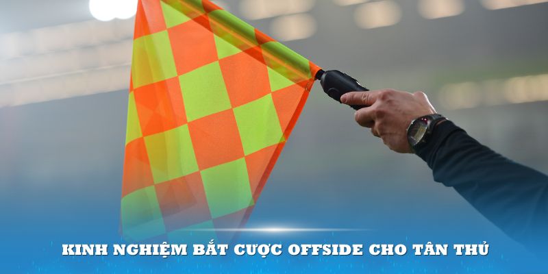 Các hình thức dự đoán cược Offside nên thử